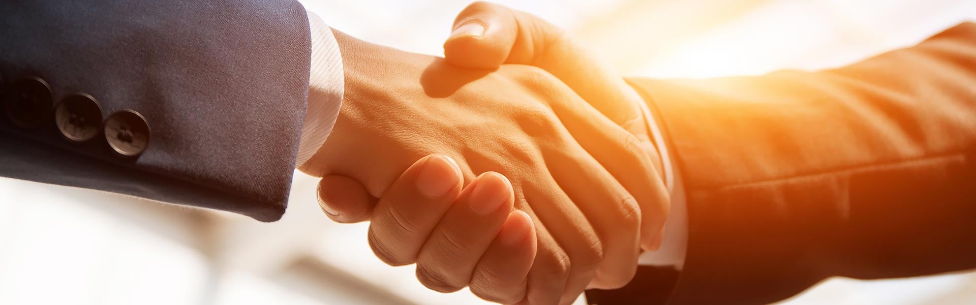 Two people shaking hands